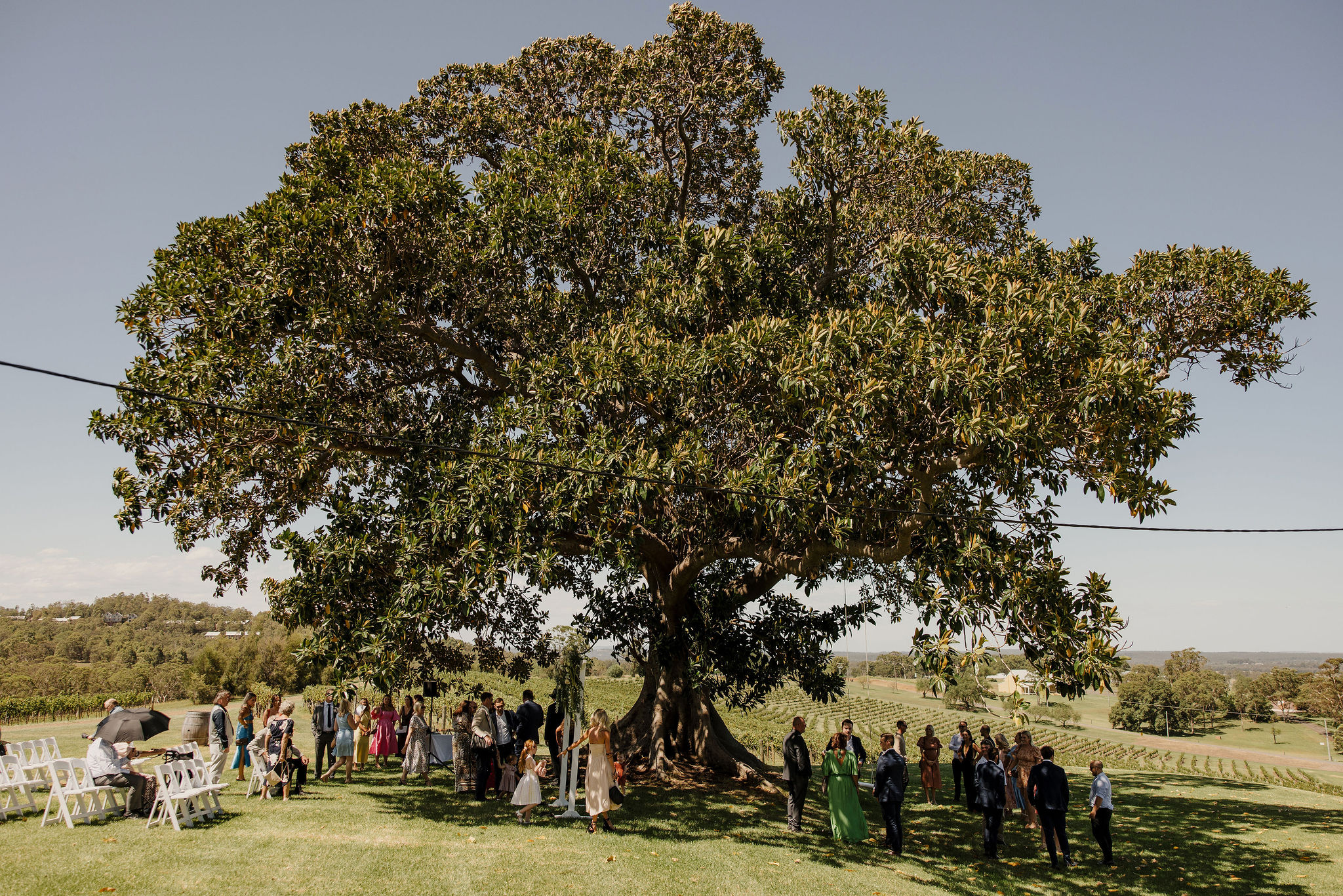 Remy and Steele Real Wedding. Hunter Valley Wedding Planner Magazine. Venue: Ben Ean. Photos by Ben Adams