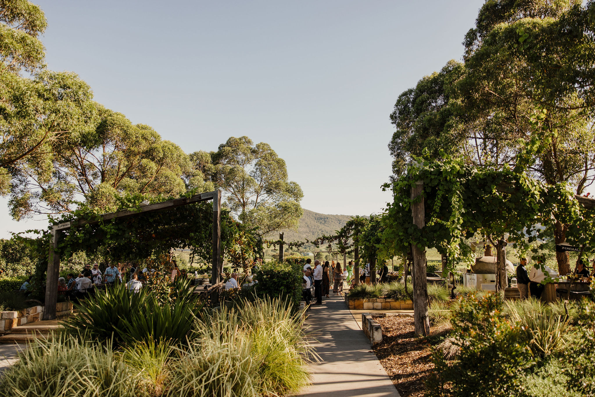 Remy and Steele Real Wedding. Hunter Valley Wedding Planner Magazine. Venue: Ben Ean. Photos by Ben Adams